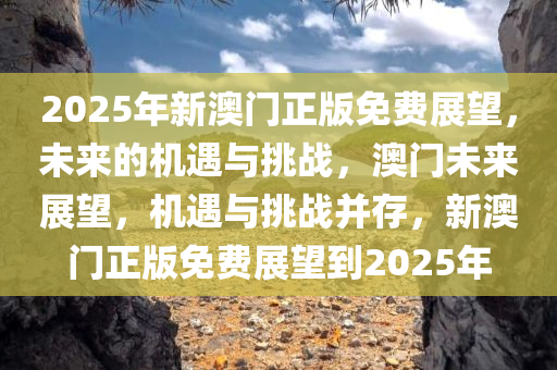 2025年新澳门正版免费展望，未来的机遇与挑战，澳门未来展望，机遇与挑战并存，新澳门正版免费展望到2025年