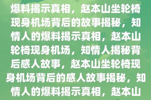 赵本山坐轮椅现身机场，背后的故事引人深思——知情人的爆料揭示真相，赵本山坐轮椅现身机场背后的故事揭秘，知情人的爆料揭示真相，赵本山轮椅现身机场，知情人揭秘背后感人故事，赵本山坐轮椅现身机场背后的感人故事揭秘，知情人的爆料揭示真相，赵本山轮椅现身机场，知情人揭秘背后的感人故事