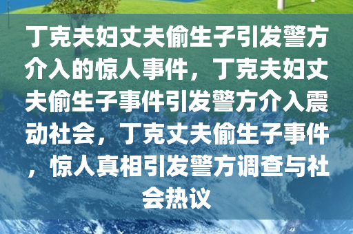 丁克夫妇丈夫偷生子引发警方介入的惊人事件，丁克夫妇丈夫偷生子事件引发警方介入震动社会，丁克丈夫偷生子事件，惊人真相引发警方调查与社会热议