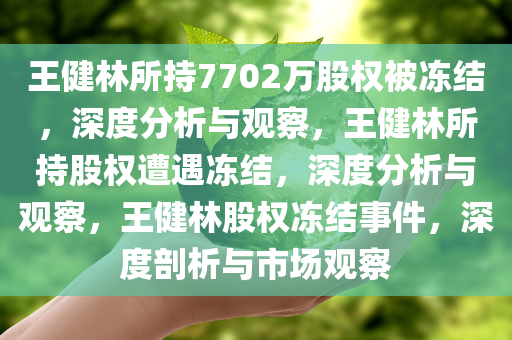 王健林所持7702万股权被冻结，深度分析与观察，王健林所持股权遭遇冻结，深度分析与观察，王健林股权冻结事件，深度剖析与市场观察