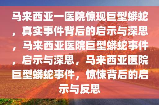 马来西亚一医院惊现巨型蟒蛇，真实事件背后的启示与深思，马来西亚医院巨型蟒蛇事件，启示与深思，马来西亚医院巨型蟒蛇事件，惊悚背后的启示与反思