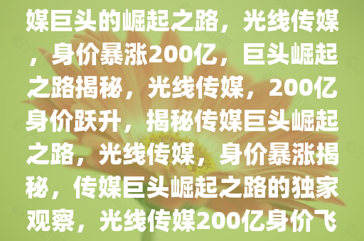 光线传媒身价暴涨200亿