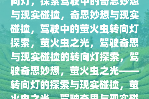 还以为司机绑了只萤火虫当转向灯，探索驾驶中的奇思妙想与现实碰撞，奇思妙想与现实碰撞，驾驶中的萤火虫转向灯探索，萤火虫之光，驾驶奇思与现实碰撞的转向灯探索，驾驶奇思妙想，萤火虫之光——转向灯的探索与现实碰撞，萤火虫之光，驾驶奇思与现实碰撞的转向灯探索