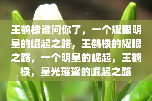 王鹤棣谁问你了，一个耀眼明星的崛起之路，王鹤棣的耀眼之路，一个明星的崛起，王鹤棣，星光璀璨的崛起之路