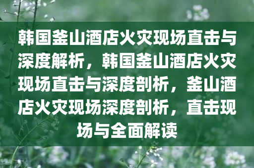 韩国釜山酒店火灾现场直击与深度解析，韩国釜山酒店火灾现场直击与深度剖析，釜山酒店火灾现场深度剖析，直击现场与全面解读