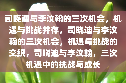 司晓迪与李汶翰的三次机会，机遇与挑战并存，司晓迪与李汶翰的三次机会，机遇与挑战的交织，司晓迪与李汶翰，三次机遇中的挑战与成长