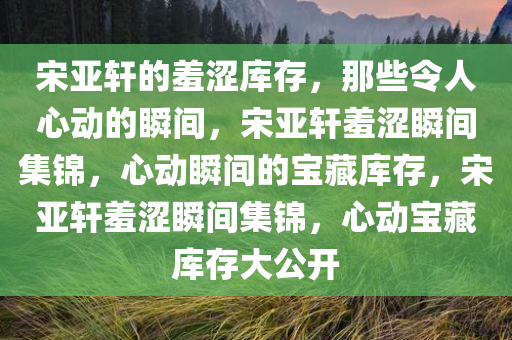 宋亚轩的羞涩库存，那些令人心动的瞬间，宋亚轩羞涩瞬间集锦，心动瞬间的宝藏库存，宋亚轩羞涩瞬间集锦，心动宝藏库存大公开