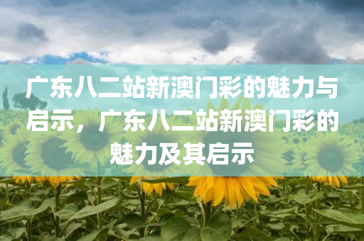 广东八二站新澳门彩的魅力与启示，广东八二站新澳门彩的魅力及其启示