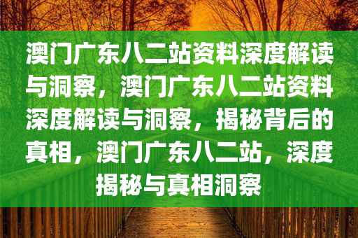 澳门广东八二站资料深度解读与洞察，澳门广东八二站资料深度解读与洞察，揭秘背后的真相，澳门广东八二站，深度揭秘与真相洞察