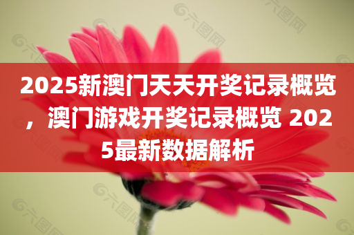 2025新澳门天天开奖记录概览，澳门游戏开奖记录概览 2025最新数据解析