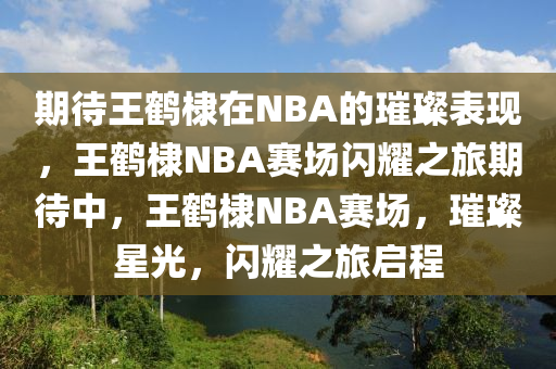 期待王鹤棣在NBA的璀璨表现，王鹤棣NBA赛场闪耀之旅期待中，王鹤棣NBA赛场，璀璨星光，闪耀之旅启程