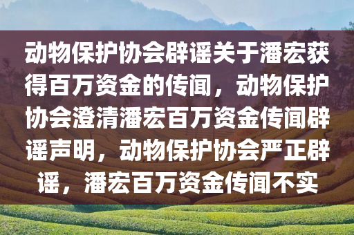 动物保护协会辟谣关于潘宏获得百万资金的传闻，动物保护协会澄清潘宏百万资金传闻辟谣声明，动物保护协会严正辟谣，潘宏百万资金传闻不实