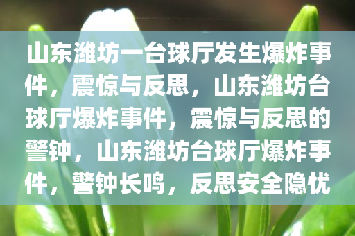 山东潍坊一台球厅发生爆炸事件，震惊与反思，山东潍坊台球厅爆炸事件，震惊与反思的警钟，山东潍坊台球厅爆炸事件，警钟长鸣，反思安全隐忧