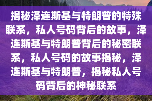 揭秘泽连斯基与特朗普的特殊联系，私人号码背后的故事，泽连斯基与特朗普背后的秘密联系，私人号码的故事揭秘，泽连斯基与特朗普，揭秘私人号码背后的神秘联系