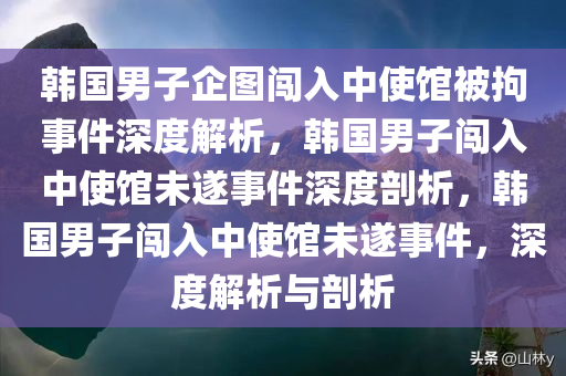 韩国男子企图闯入中使馆被拘事件深度解析，韩国男子闯入中使馆未遂事件深度剖析，韩国男子闯入中使馆未遂事件，深度解析与剖析