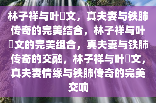 林子祥与叶蒨文，真夫妻与铁肺传奇的完美结合，林子祥与叶蒨文的完美组合，真夫妻与铁肺传奇的交融，林子祥与叶蒨文，真夫妻情缘与铁肺传奇的完美交响