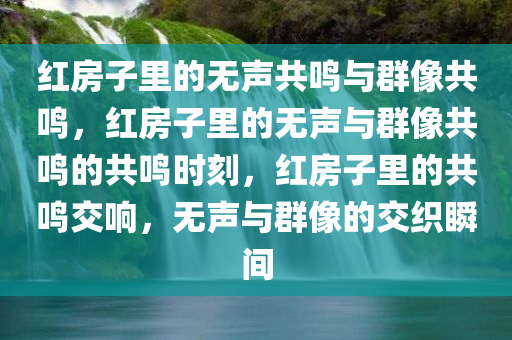 红房子里的无声共鸣与群像共鸣，红房子里的无声与群像共鸣的共鸣时刻，红房子里的共鸣交响，无声与群像的交织瞬间