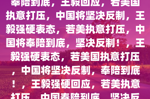 王毅，若美执意打压，中国必奉陪到底，王毅回应，若美国执意打压，中国将坚决反制，王毅强硬表态，若美执意打压，中国将奉陪到底，坚决反制！，王毅强硬表态，若美国执意打压，中国将坚决反制，奉陪到底！，王毅强硬回应，若美执意打压，中国奉陪到底，坚决反制！