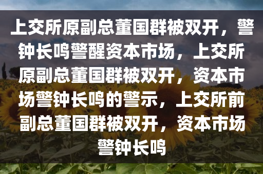 上交所原副总董国群被双开，警钟长鸣警醒资本市场，上交所原副总董国群被双开，资本市场警钟长鸣的警示，上交所前副总董国群被双开，资本市场警钟长鸣