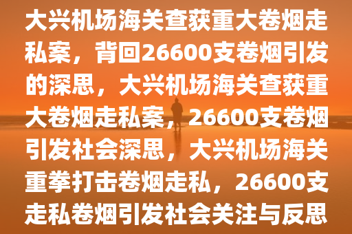 大兴机场海关查获重大卷烟走私案，背回26600支卷烟引发的深思，大兴机场海关查获重大卷烟走私案，26600支卷烟引发社会深思，大兴机场海关重拳打击卷烟走私，26600支走私卷烟引发社会关注与反思