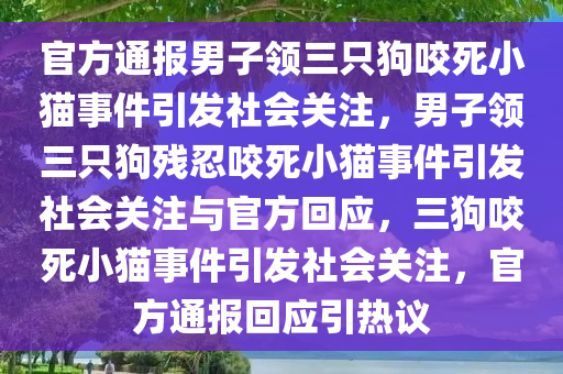 官方通报男子领三只狗咬死小猫事件引发社会关注，男子领三只狗残忍咬死小猫事件引发社会关注与官方回应，三狗咬死小猫事件引发社会关注，官方通报回应引热议