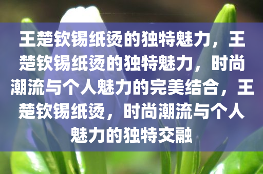 王楚钦锡纸烫的独特魅力，王楚钦锡纸烫的独特魅力，时尚潮流与个人魅力的完美结合，王楚钦锡纸烫，时尚潮流与个人魅力的独特交融