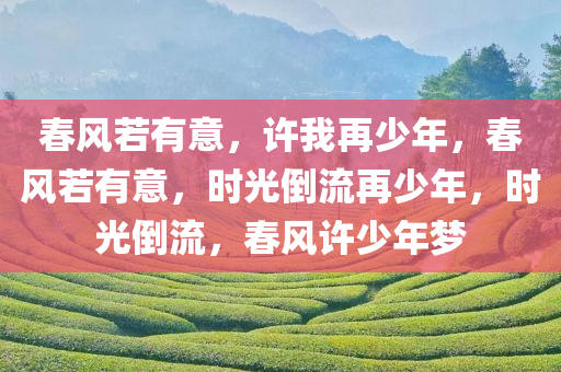 春风若有意，许我再少年，春风若有意，时光倒流再少年，时光倒流，春风许少年梦