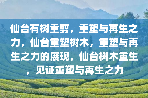 仙台有树重剪，重塑与再生之力，仙台重塑树木，重塑与再生之力的展现，仙台树木重生，见证重塑与再生之力