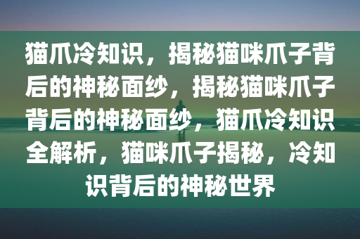 猫爪冷知识，揭秘猫咪爪子背后的神秘面纱，揭秘猫咪爪子背后的神秘面纱，猫爪冷知识全解析，猫咪爪子揭秘，冷知识背后的神秘世界