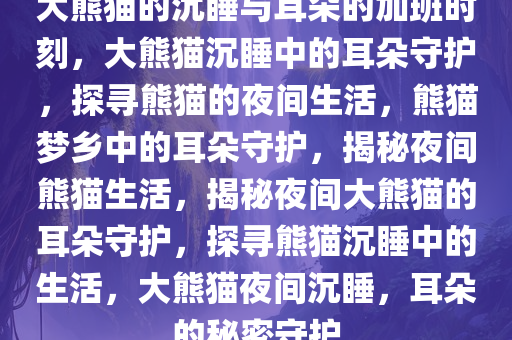 大熊猫的沉睡与耳朵的加班时刻，大熊猫沉睡中的耳朵守护，探寻熊猫的夜间生活，熊猫梦乡中的耳朵守护，揭秘夜间熊猫生活，揭秘夜间大熊猫的耳朵守护，探寻熊猫沉睡中的生活，大熊猫夜间沉睡，耳朵的秘密守护