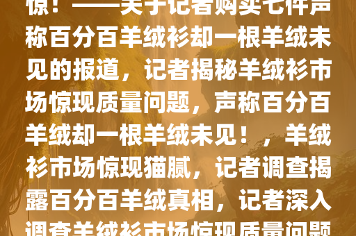 揭秘真相，记者深入调查羊绒衫市场，发现质量问题令人震惊！——关于记者购买七件声称百分百羊绒衫却一根羊绒未见的报道，记者揭秘羊绒衫市场惊现质量问题，声称百分百羊绒却一根羊绒未见！，羊绒衫市场惊现猫腻，记者调查揭露百分百羊绒真相，记者深入调查羊绒衫市场惊现质量问题，声称百分百羊绒却一根羊绒未见，真相揭秘引发关注