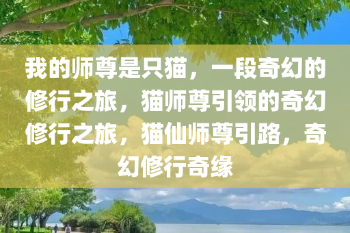 我的师尊是只猫，一段奇幻的修行之旅，猫师尊引领的奇幻修行之旅，猫仙师尊引路，奇幻修行奇缘