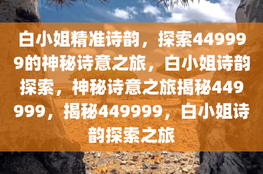 白小姐精准诗韵，探索449999的神秘诗意之旅，白小姐诗韵探索，神秘诗意之旅揭秘449999，揭秘449999，白小姐诗韵探索之旅