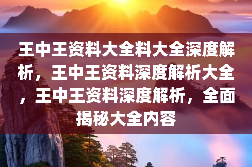 王中王资料大全料大全深度解析，王中王资料深度解析大全，王中王资料深度解析，全面揭秘大全内容