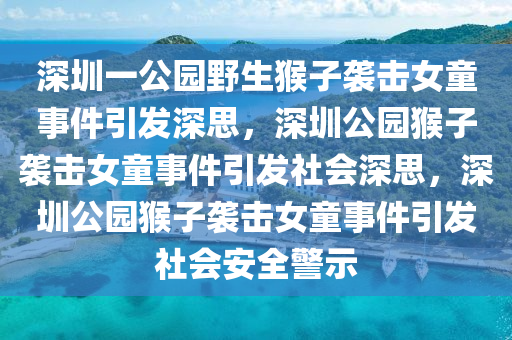 深圳一公园野生猴子袭击女童事件引发深思，深圳公园猴子袭击女童事件引发社会深思，深圳公园猴子袭击女童事件引发社会安全警示