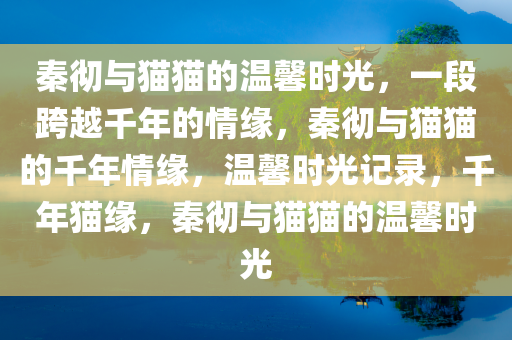 秦彻与猫猫的温馨时光，一段跨越千年的情缘，秦彻与猫猫的千年情缘，温馨时光记录，千年猫缘，秦彻与猫猫的温馨时光