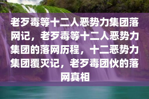 老歹毒等十二人恶势力集团落网记，老歹毒等十二人恶势力集团的落网历程，十二恶势力集团覆灭记，老歹毒团伙的落网真相