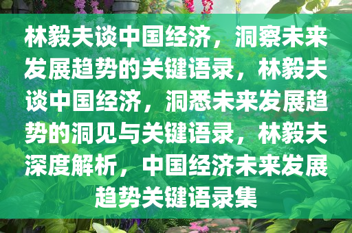 林毅夫谈中国经济，洞察未来发展趋势的关键语录，林毅夫谈中国经济，洞悉未来发展趋势的洞见与关键语录，林毅夫深度解析，中国经济未来发展趋势关键语录集