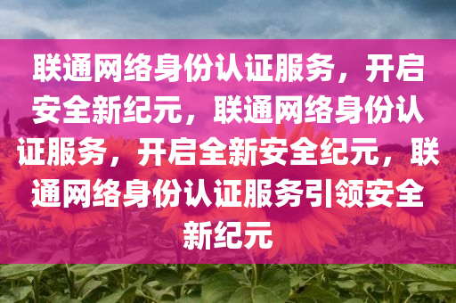 联通网络身份认证服务，开启安全新纪元，联通网络身份认证服务，开启全新安全纪元，联通网络身份认证服务引领安全新纪元