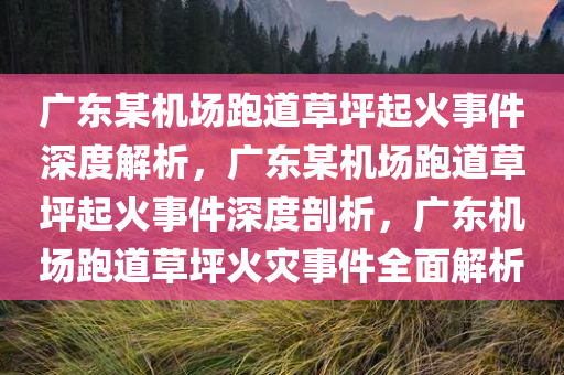 广东某机场跑道草坪起火事件深度解析，广东某机场跑道草坪起火事件深度剖析，广东机场跑道草坪火灾事件全面解析