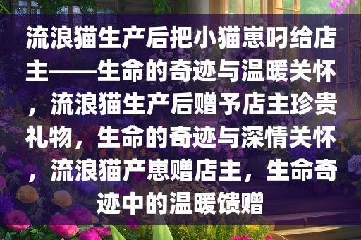 流浪猫生产后把小猫崽叼给店主——生命的奇迹与温暖关怀，流浪猫生产后赠予店主珍贵礼物，生命的奇迹与深情关怀，流浪猫产崽赠店主，生命奇迹中的温暖馈赠