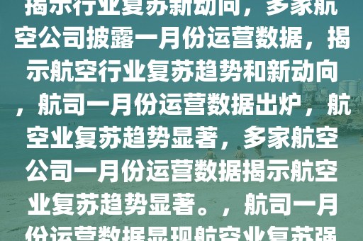 多家航司披露1月份运营数据，揭示行业复苏新动向，多家航空公司披露一月份运营数据，揭示航空行业复苏趋势和新动向，航司一月份运营数据出炉，航空业复苏趋势显著，多家航空公司一月份运营数据揭示航空业复苏趋势显著。，航司一月份运营数据显现航空业复苏强劲趋势