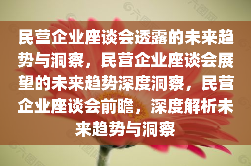 民营企业座谈会透露的未来趋势与洞察，民营企业座谈会展望的未来趋势深度洞察，民营企业座谈会前瞻，深度解析未来趋势与洞察