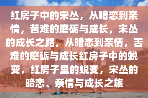 红房子中的宋丛，从暗恋到亲情，苦难的磨砺与成长，宋丛的成长之路，从暗恋到亲情，苦难的磨砺与成长红房子中的蜕变，红房子里的蜕变，宋丛的暗恋、亲情与成长之旅