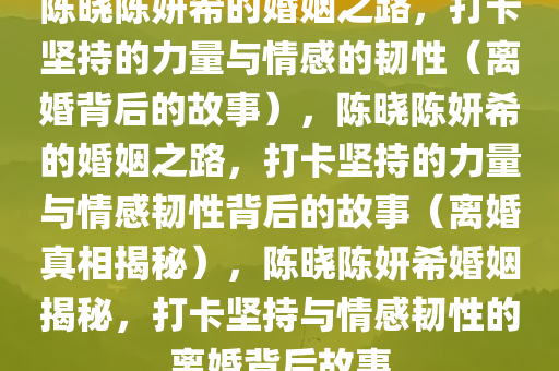 陈晓陈妍希的婚姻之路，打卡坚持的力量与情感的韧性（离婚背后的故事），陈晓陈妍希的婚姻之路，打卡坚持的力量与情感韧性背后的故事（离婚真相揭秘），陈晓陈妍希婚姻揭秘，打卡坚持与情感韧性的离婚背后故事