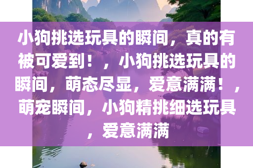 小狗挑选玩具的瞬间，真的有被可爱到！，小狗挑选玩具的瞬间，萌态尽显，爱意满满！，萌宠瞬间，小狗精挑细选玩具，爱意满满