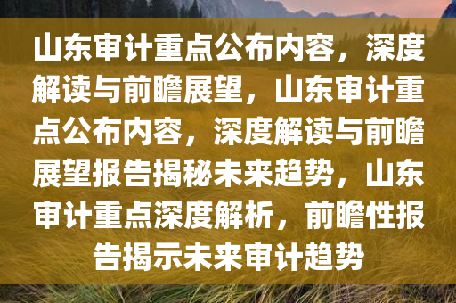 山东审计重点公布内容，深度解读与前瞻展望，山东审计重点公布内容，深度解读与前瞻展望报告揭秘未来趋势，山东审计重点深度解析，前瞻性报告揭示未来审计趋势