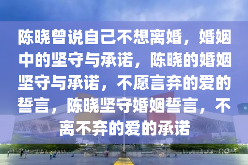 陈晓曾说自己不想离婚，婚姻中的坚守与承诺，陈晓的婚姻坚守与承诺，不愿言弃的爱的誓言，陈晓坚守婚姻誓言，不离不弃的爱的承诺