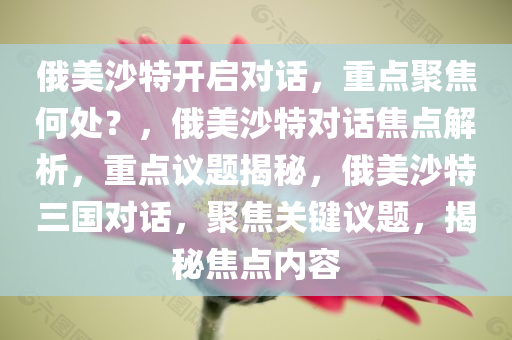 俄美沙特开启对话，重点聚焦何处？，俄美沙特对话焦点解析，重点议题揭秘，俄美沙特三国对话，聚焦关键议题，揭秘焦点内容