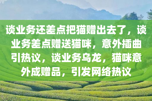 谈业务还差点把猫赠出去了，谈业务差点赠送猫咪，意外插曲引热议，谈业务乌龙，猫咪意外成赠品，引发网络热议